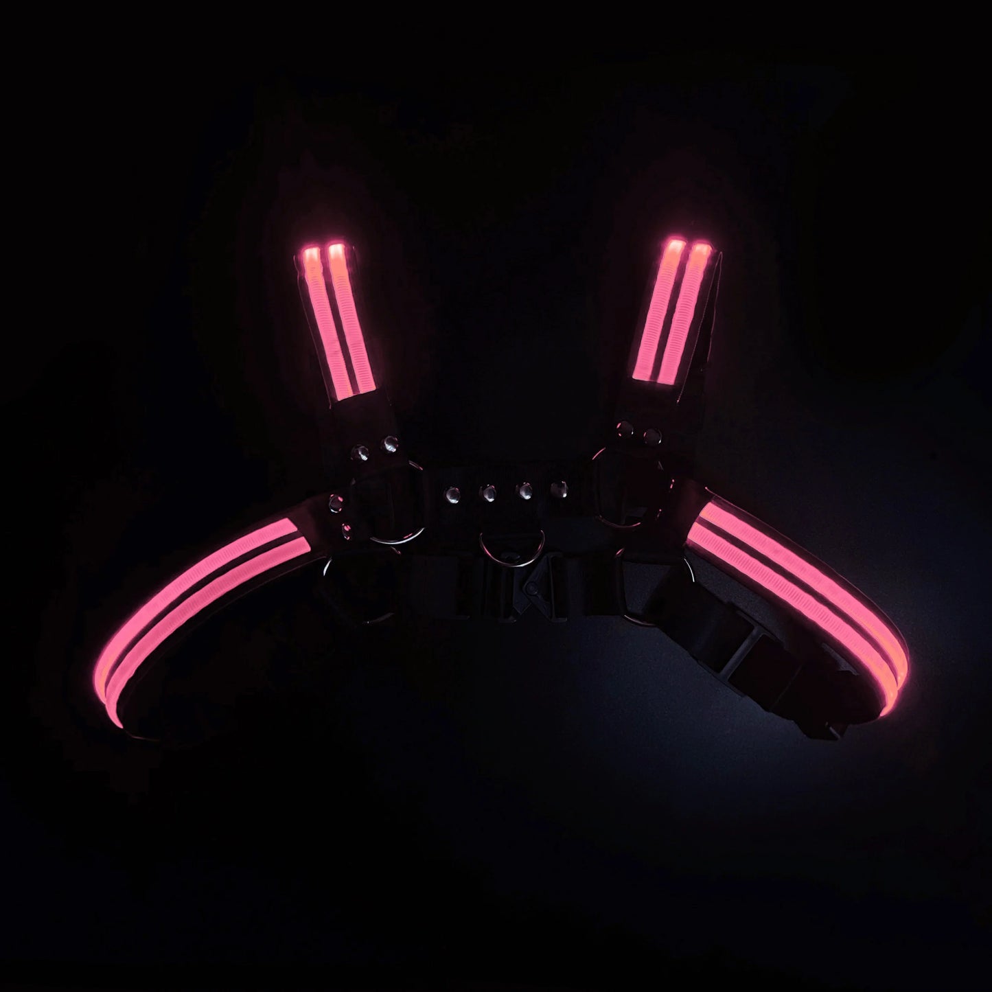 LUSTRA — Harnesses & Tech Accessories