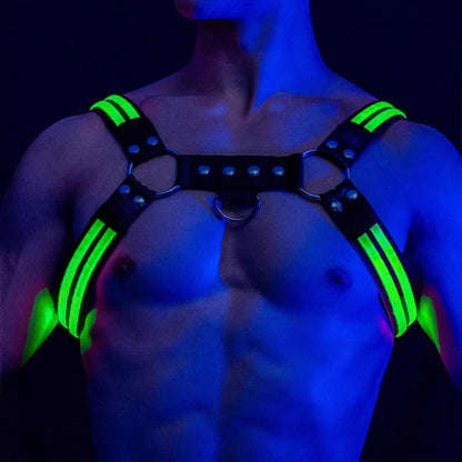 LUSTRA — Harnesses & Tech Accessories