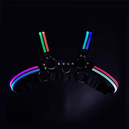 LUSTRA — Harnesses & Tech Accessories
