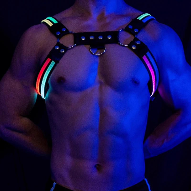 LUSTRA — Harnesses & Tech Accessories