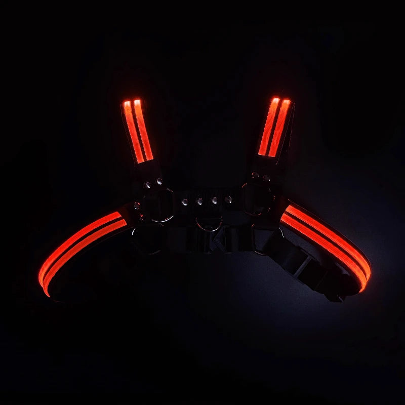 LUSTRA — Harnesses & Tech Accessories