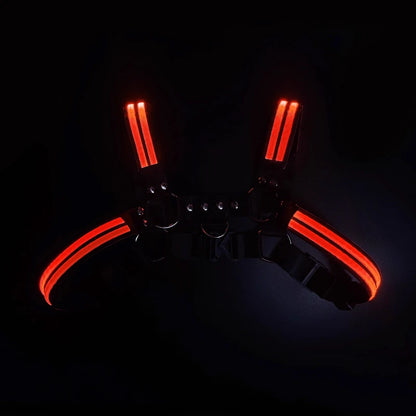 LUSTRA — Harnesses & Tech Accessories
