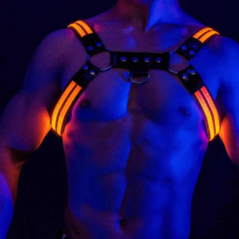 LUSTRA — Harnesses & Tech Accessories